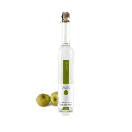 Reinette de Luxembourg